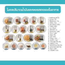 โมเดลปริมาณน้ำมันและคลอเรสเตอรอลในอาหาร 0