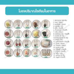 โมเดลปริมาณโซเดียมในอาหาร 0